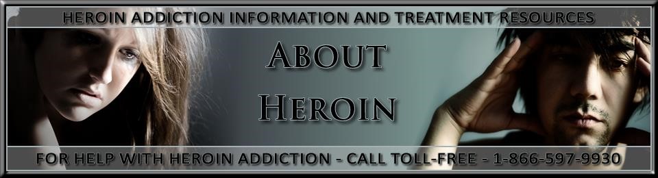 methadone and heroin Greenburgh NY