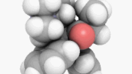 methadone metabolite Washington PA