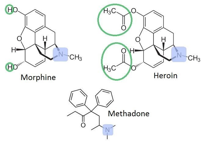 methadone and pain Mechanicstown NY