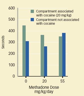 methadone facts Gaffney SC